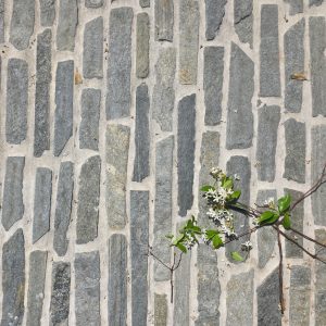 Athenastone® Filleti