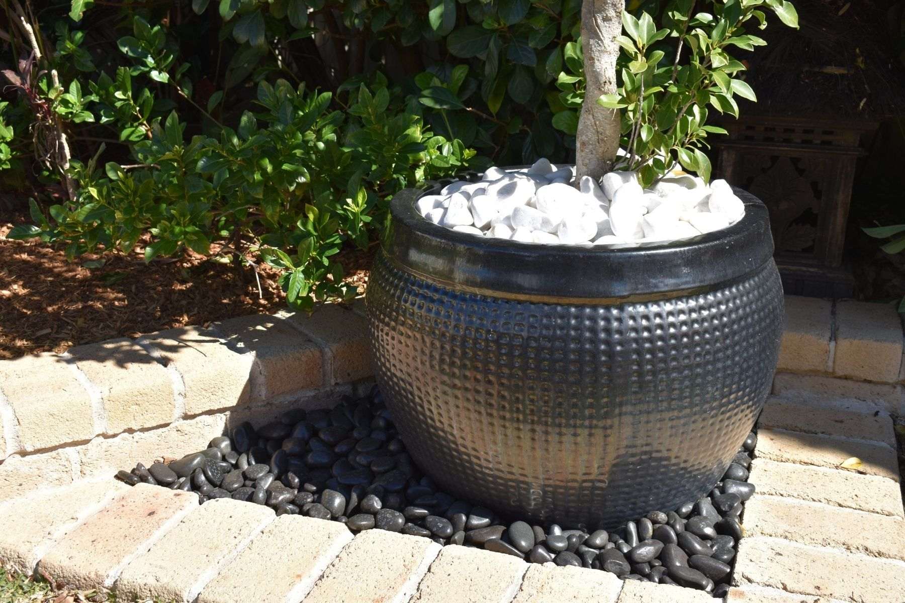 black garden pot decorated with white pebbles and black pebbles underneath