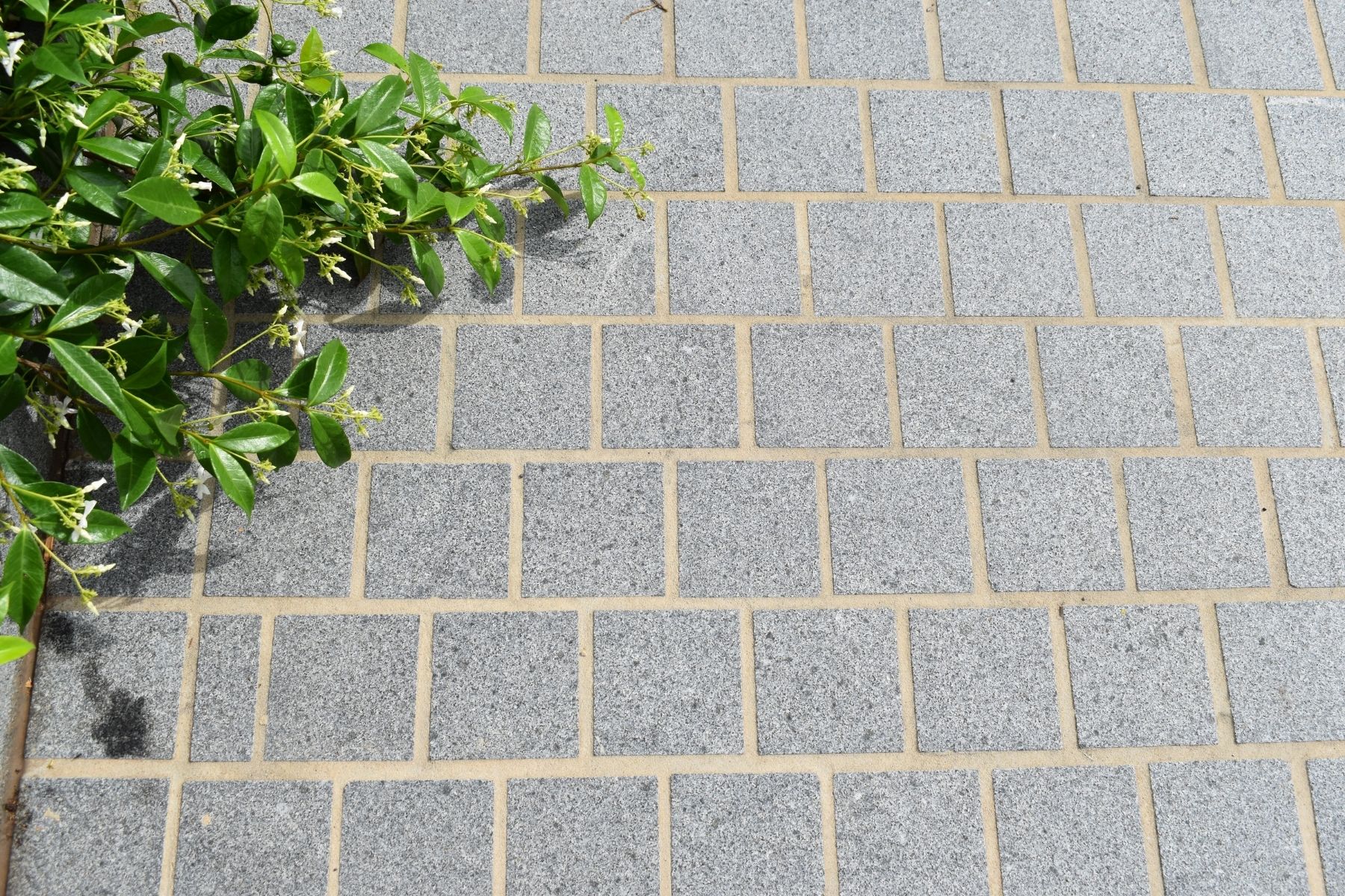 sesame grey cobbles used as driveway pavers